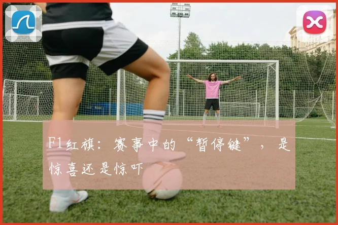 F1红旗：赛事中的“暂停键”，是惊喜还是惊吓